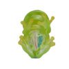 AHB Series 20 - Reticulated Glass Frog – Hyalinobatrachium valerioi | Frog