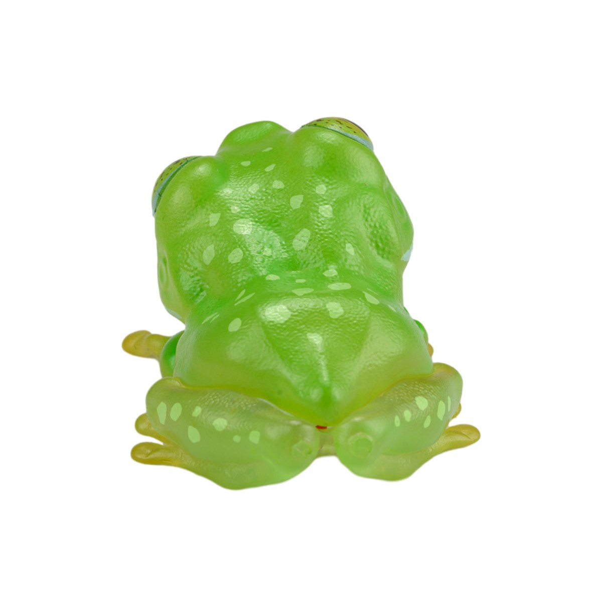 AHB Series 20 - Reticulated Glass Frog – Hyalinobatrachium valerioi | Frog