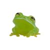 AHB Series 20 - Reticulated Glass Frog – Hyalinobatrachium valerioi | Frog