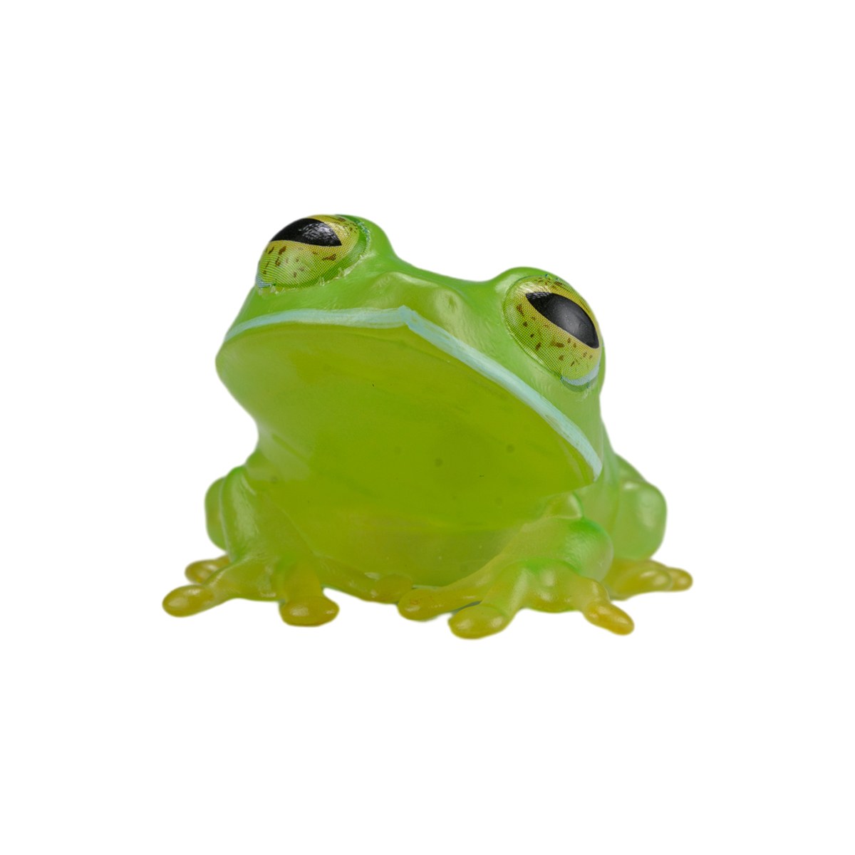 AHB Series 20 - Reticulated Glass Frog – Hyalinobatrachium valerioi | Frog
