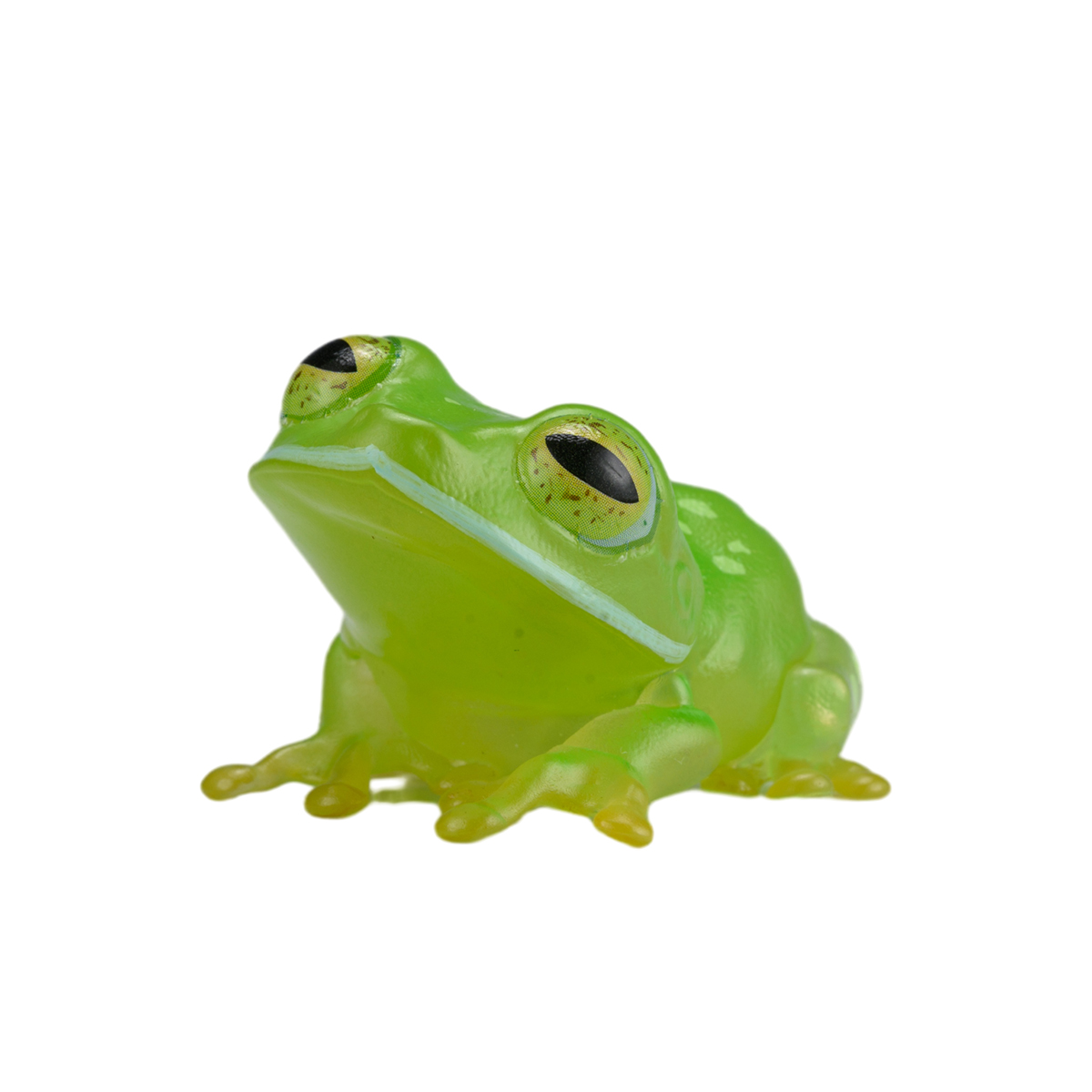 AHB Series 20 - Reticulated Glass Frog – Hyalinobatrachium valerioi | Frog