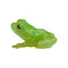 AHB Series 20 - Reticulated Glass Frog – Hyalinobatrachium valerioi | Frog