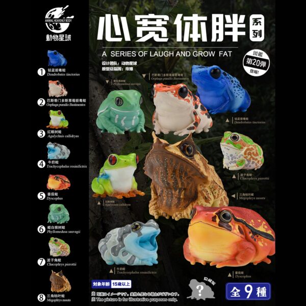 AHB-FROG-V20-Poster-dafbc647 AHB Series 20 - Waxy Monkey Tree Frog – Phyllomedusa sauvagii | Frog