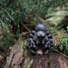 AHB-INSECT-V11-01_05 AHB Series 11 - Wolf Spider – Lycosa | Insect
