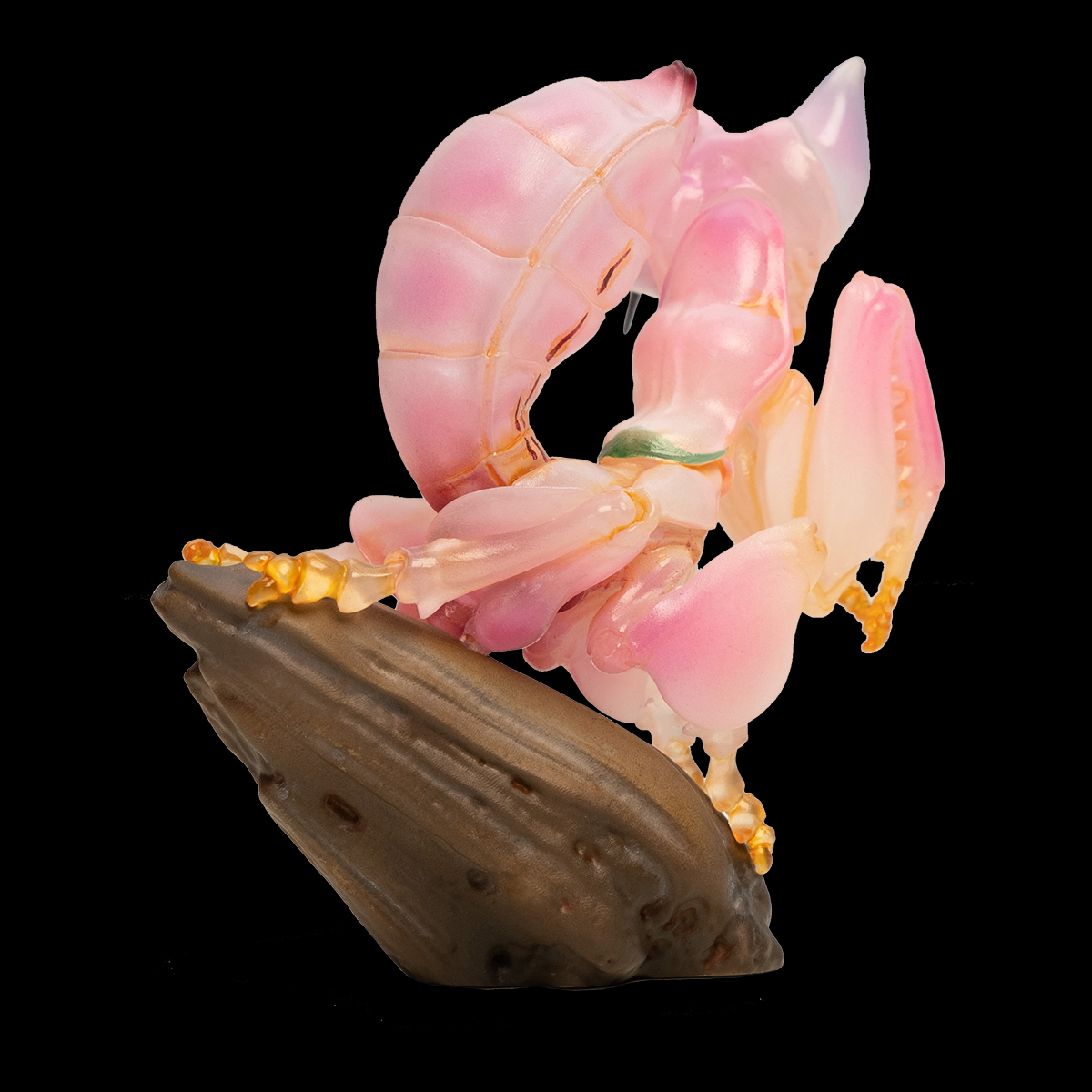 AHB-INSECT-V11-02_03 AHB Series 11 - Orchid Mantis – Hymenopus coronatus | Insect