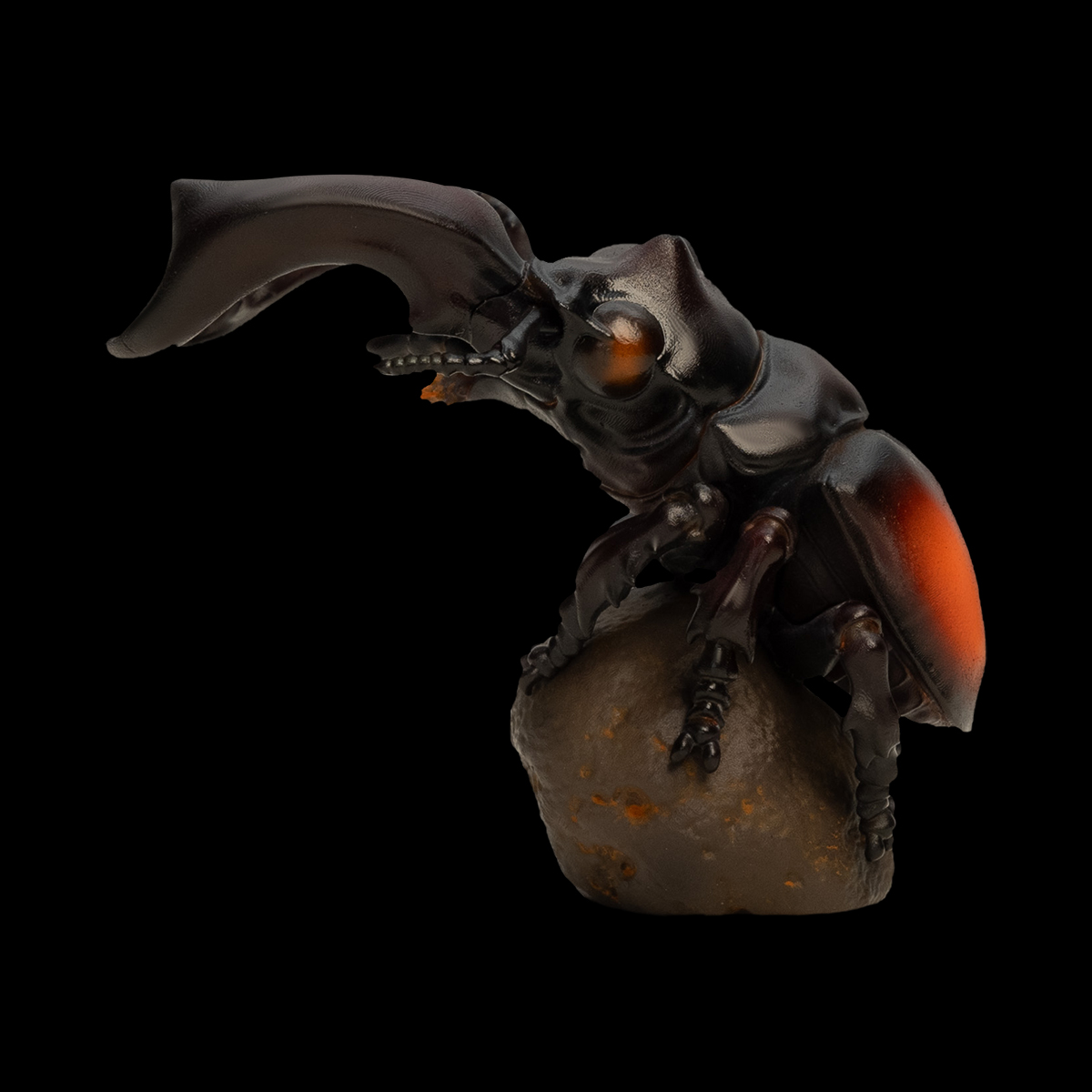 AHB-INSECT-V11-03_03 AHB Series 11 - Parry’s Stag Beetle – Hexarthrius parryi | Insect