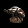 AHB Series 11 - Goliath Beetle – Goliathus goliatus | Insect