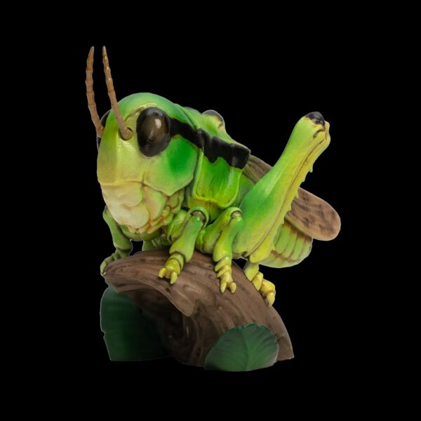 AHB Series 11 - Grasshopper – Acrididae | Insect