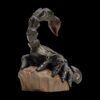 AHB Series 11 - Emperor Scorpion – Pandinus imperator | Insect