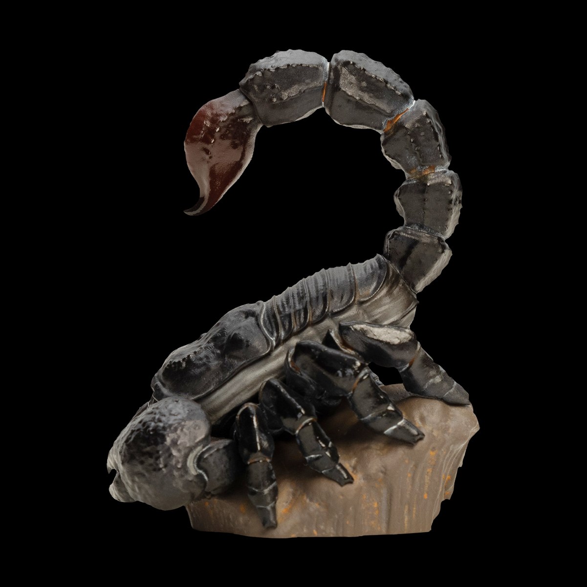 AHB Series 11 - Emperor Scorpion – Pandinus imperator | Insect