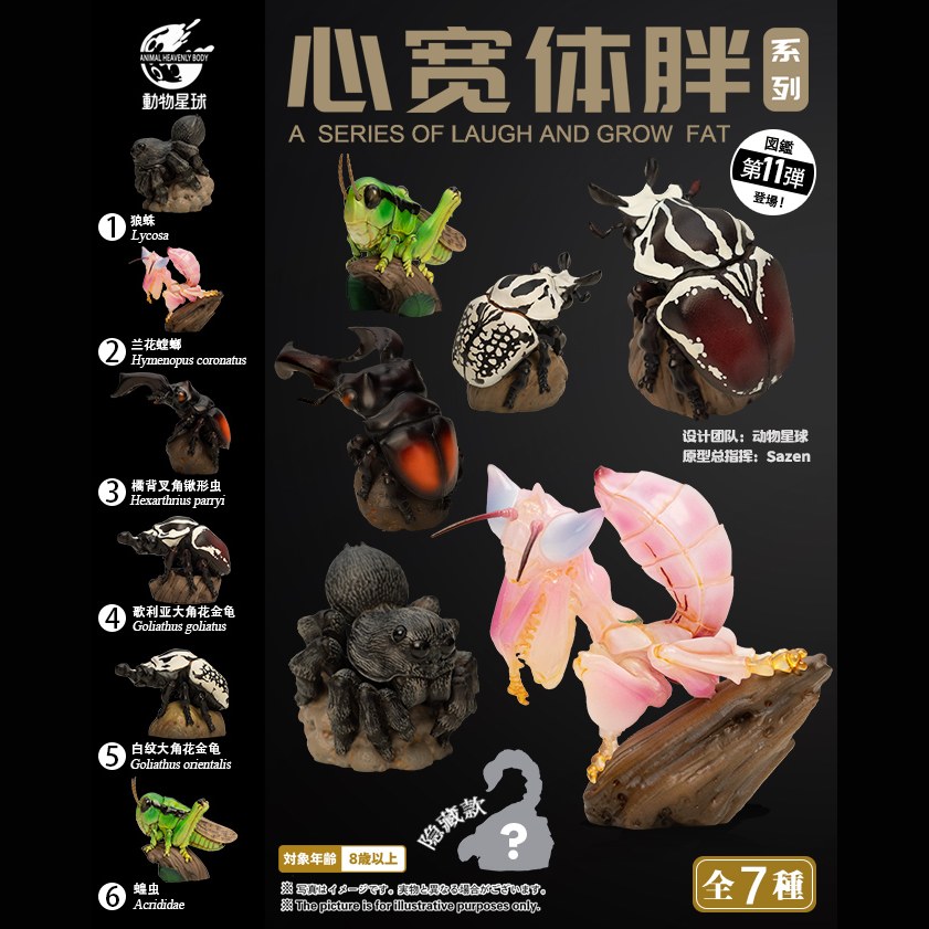AHB-INSECT-V11-Poster-7dc55266 AHB Series 11 - Parry’s Stag Beetle – Hexarthrius parryi | Insect