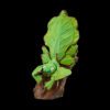 AHB-INSECT-V17-01_06 AHB Series 17 - Giant Leaf Insect – Phyllium giganteum | Insect