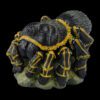 AHB Series 17 - Chaco Golden Knee Tarantula – Grammostola pulchripes | Insect