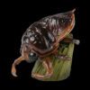 AHB Series 17 - Giant Water Bug – Lethocerus deyrollei | Insect