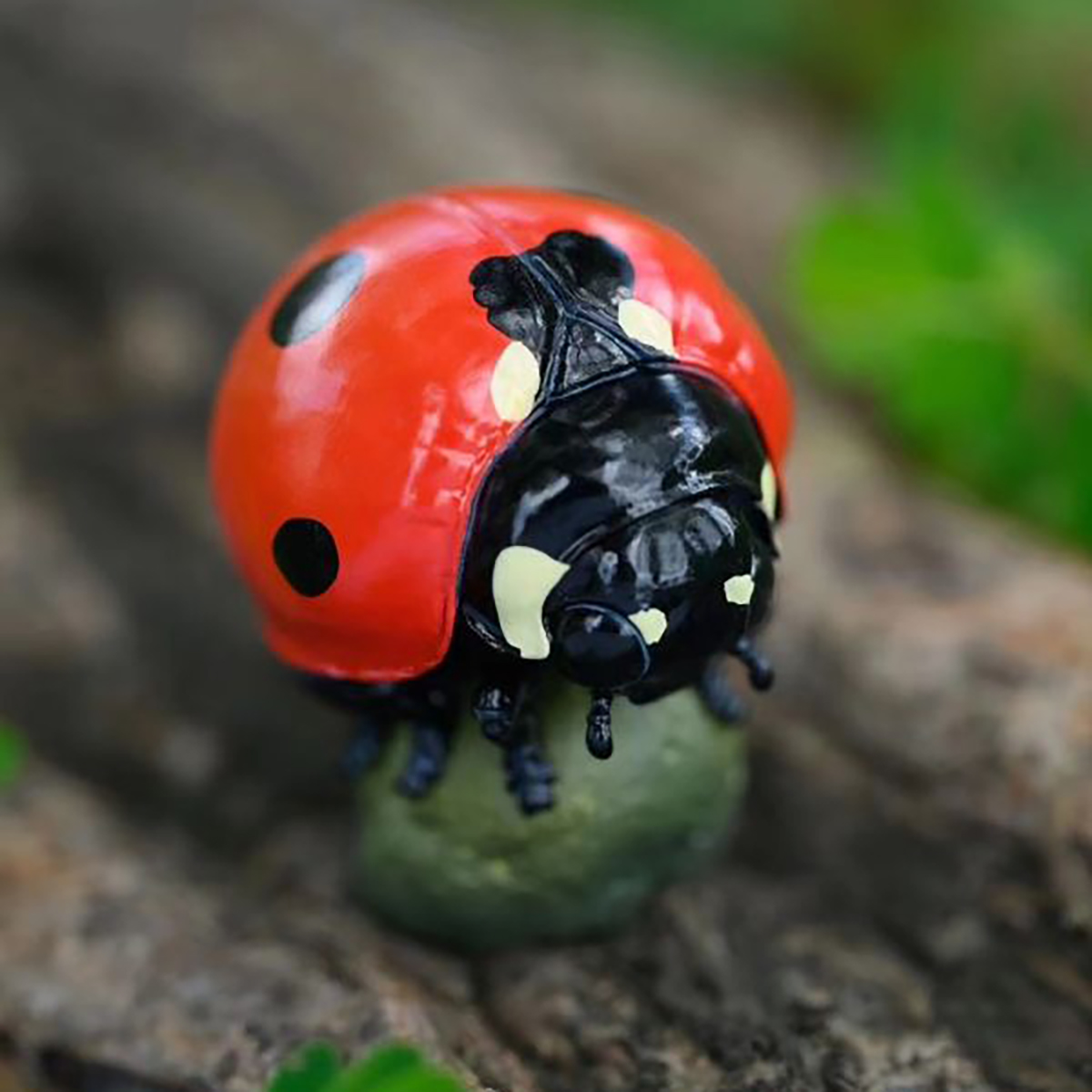 AHB Series 17 - Seven-Spot Ladybug – Coccinella septempunctata | Insect