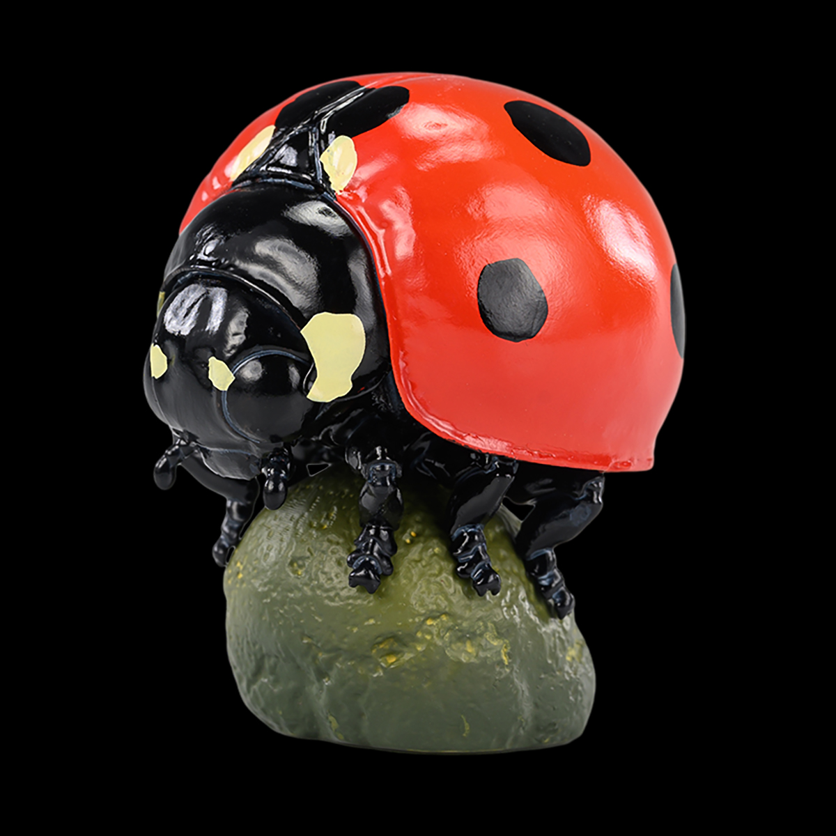 AHB Series 17 - Seven-Spot Ladybug – Coccinella septempunctata | Insect