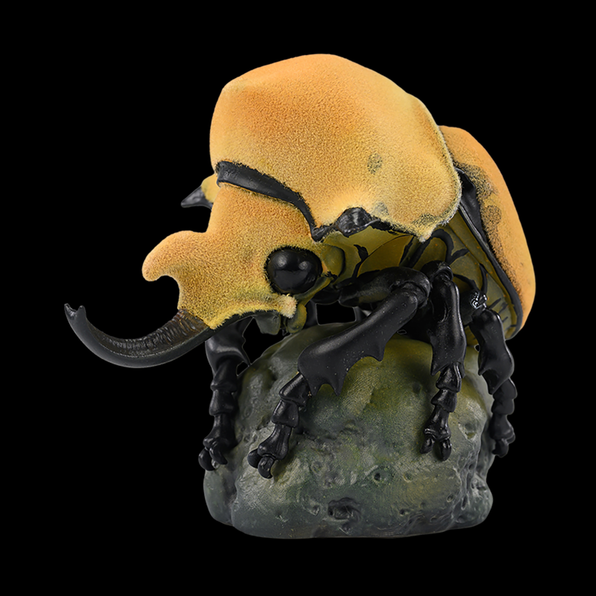 AHB-INSECT-V17-07_07 AHB Series 17 - Elephant Beetle – Megasoma elephas | Insect