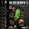 AHB Series 17 - Rainbow Stag Beetle – Phalacrognathus muelleri | Insect