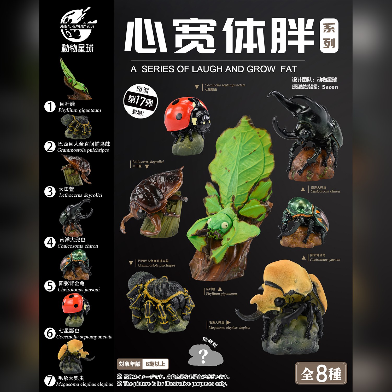 AHB Series 17 - Rainbow Stag Beetle – Phalacrognathus muelleri | Insect