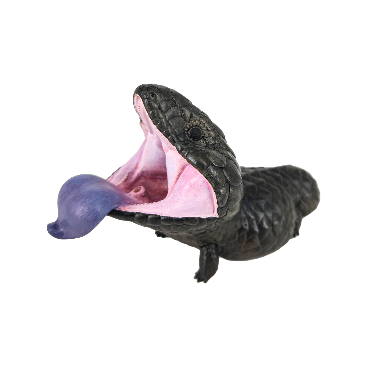 Shingleback Skink (Melanistic)