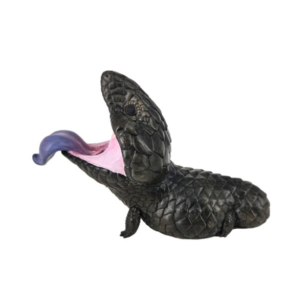 AHB Series 16 - Shingleback Skink (Melanistic) – Tiliqua rugosa aspera | Lizard