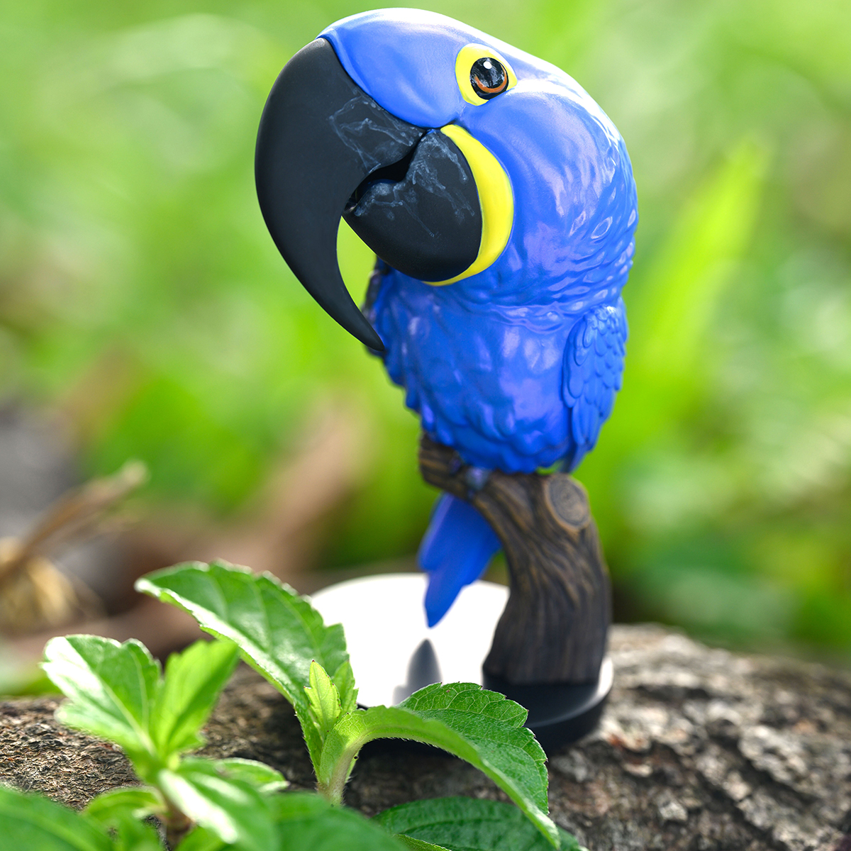 AHB Series 18 - Hyacinth Macaw – Anodorhynchus hyacinthinus | Parrot