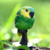 AHB Series 18 - Blue-Fronted Amazon – Amazona aestiva | Parrot