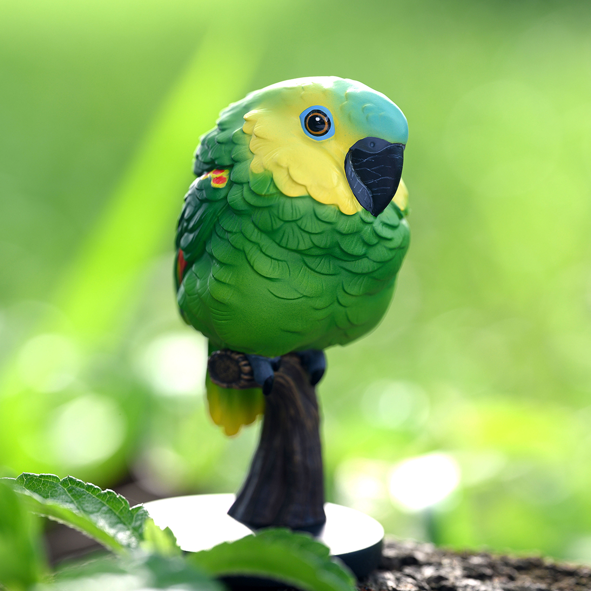 AHB Series 18 - Blue-Fronted Amazon – Amazona aestiva | Parrot