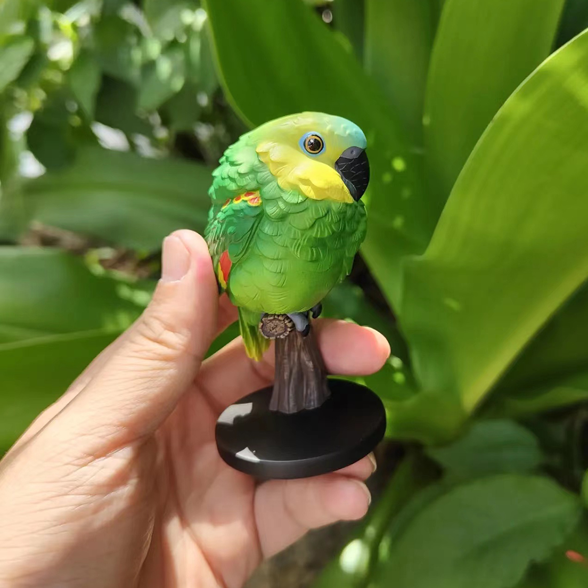 AHB Series 18 - Blue-Fronted Amazon – Amazona aestiva | Parrot