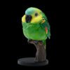 AHB Series 18 - Blue-Fronted Amazon – Amazona aestiva | Parrot