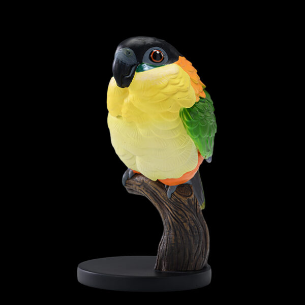 AHB-PARROT-V18-03_06 AHB Series 18 - Black-headed Caique – Pionites melanocephalus | Parrot