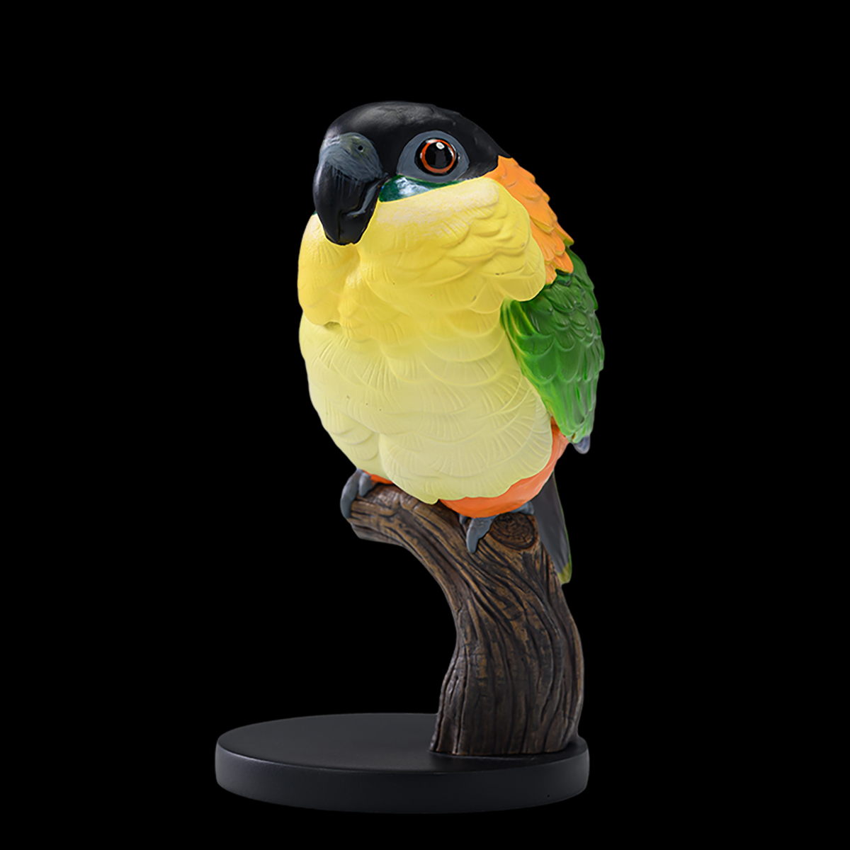 AHB-PARROT-V18-03_06 AHB Series 18 - Black-headed Caique – Pionites melanocephalus | Parrot