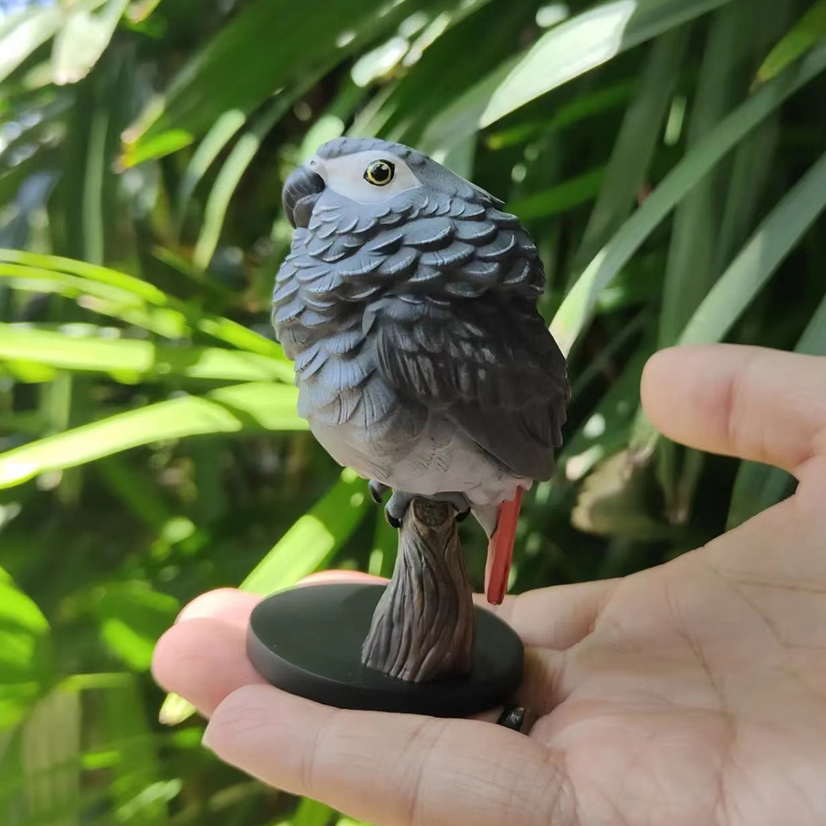 AHB Series 18 - African Grey Parrot – Psittacus erithacus | Parrot