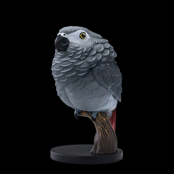 AHB Series 18 - African Grey Parrot – Psittacus erithacus | Parrot