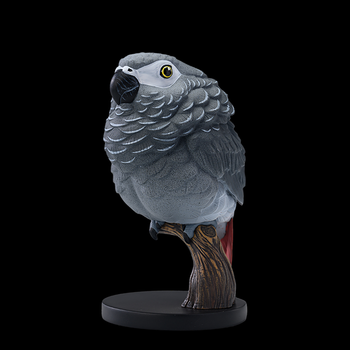 AHB Series 18 - African Grey Parrot – Psittacus erithacus | Parrot