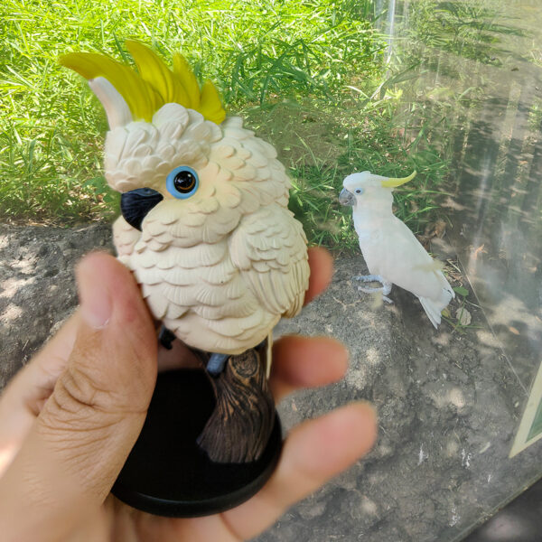AHB Series 18 - Sulphur-crested Cockatoo – Cacatua galerita | Parrot