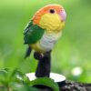 AHB-PARROT-V18-06_04 AHB Series 18 - White-bellied Caique – Pionites leucogaster | Parrot