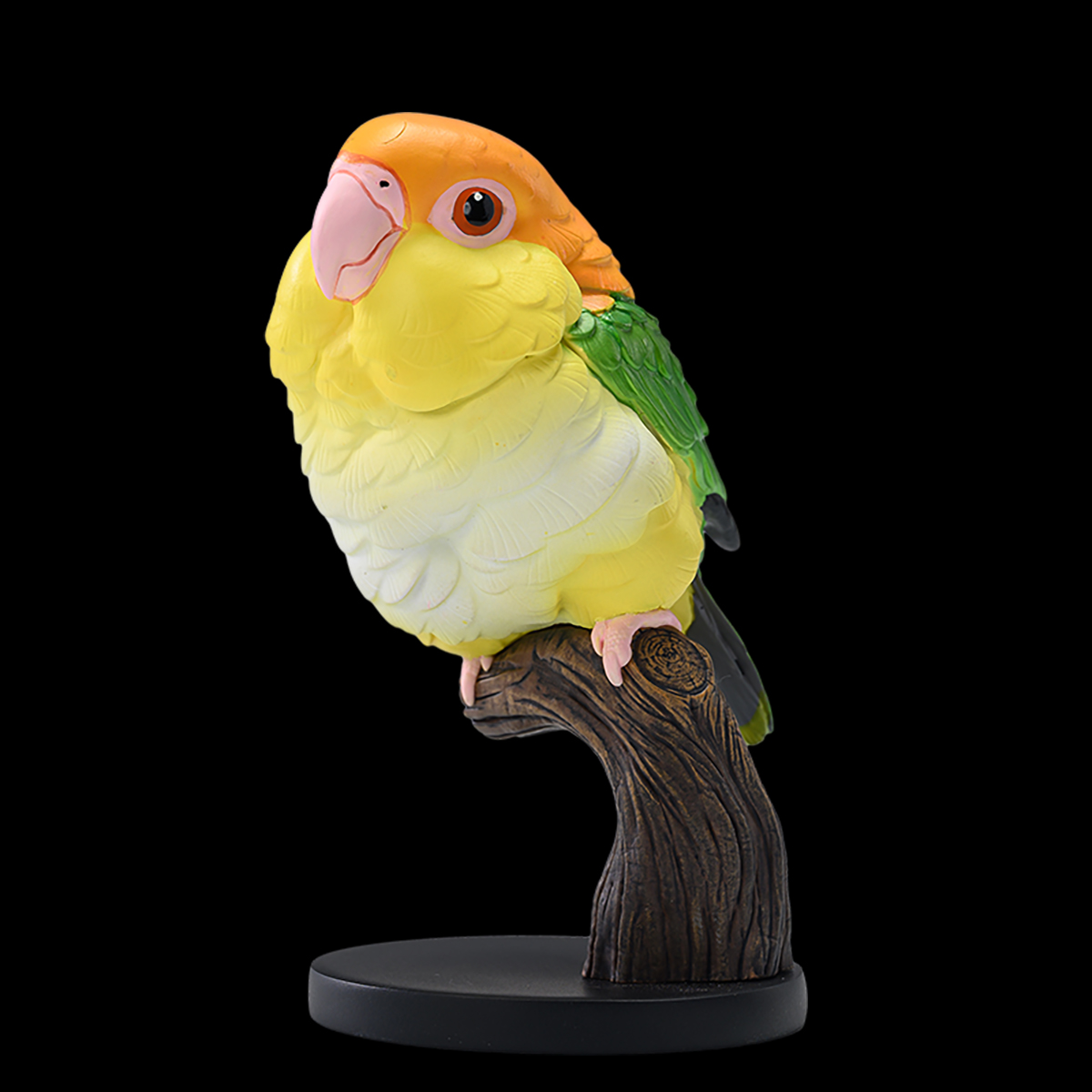 AHB-PARROT-V18-06_07 AHB Series 18 - White-bellied Caique – Pionites leucogaster | Parrot