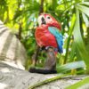 AHB Series 18 - Red-and-Green Macaw – Ara chloropterus | Parrot