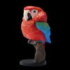 AHB Series 18 - Red-and-Green Macaw – Ara chloropterus | Parrot