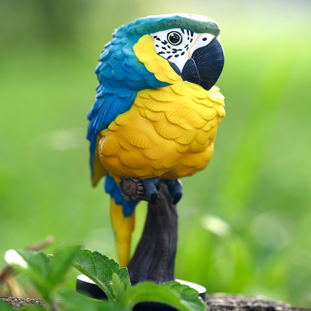 AHB Series 18 - Blue-and-Yellow Macaw – Ara ararauna | Parrot