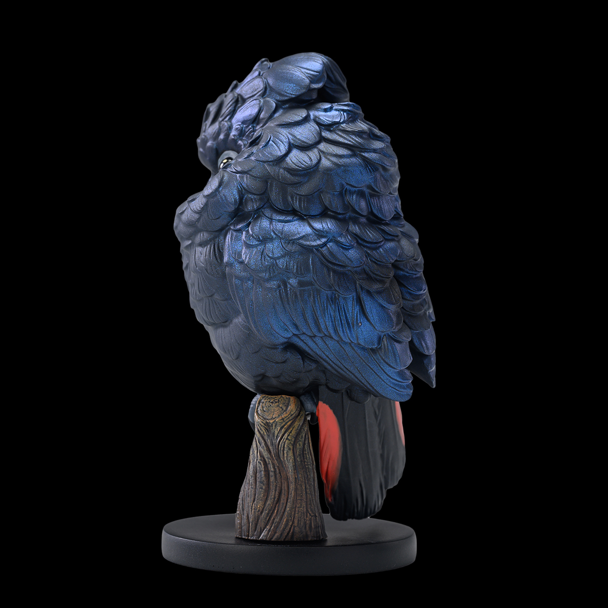 AHB Series 18 - Red-tailed Black Cockatoo – Calyptorhynchus banksii | Parrot