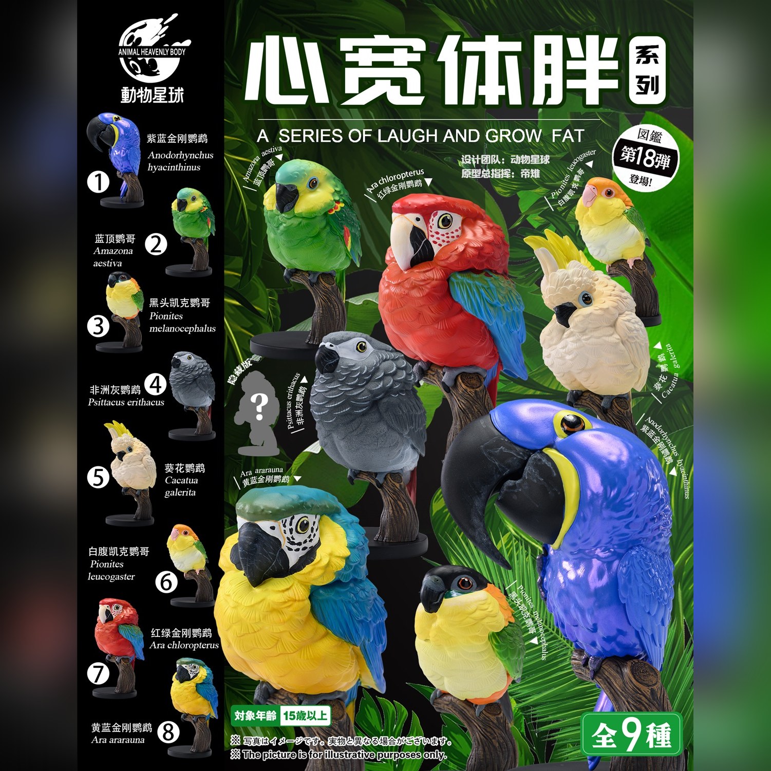 AHB Series 18 - Blue-Fronted Amazon – Amazona aestiva | Parrot