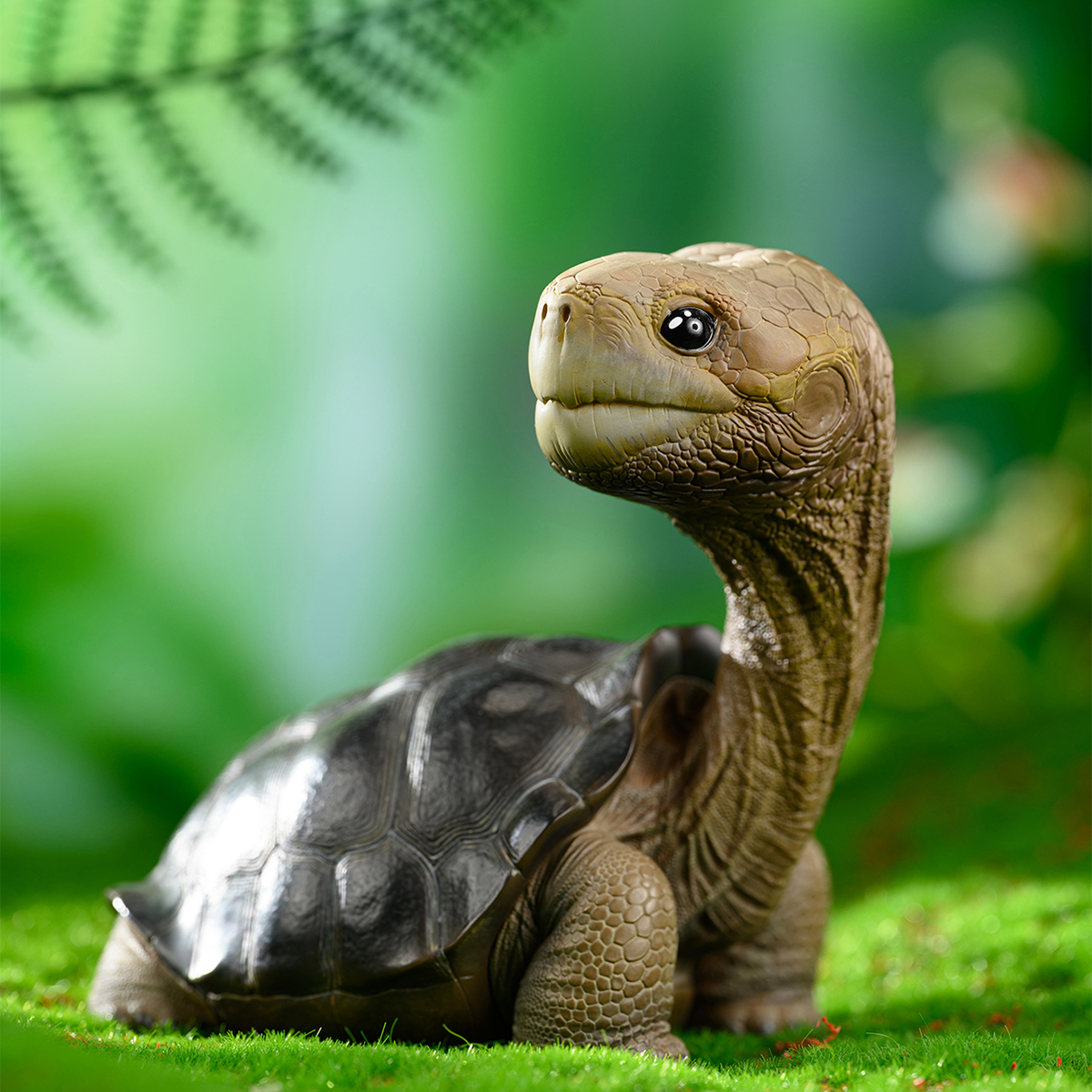 AHB Series PLUS - Let's Party / Chelonoidis abingdonii Tortoise / Turtle