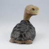AHB-PLUS-LetsParty-LonesomeGeorge_05 AHB Series PLUS - Let's Party / Chelonoidis abingdonii Tortoise / Turtle