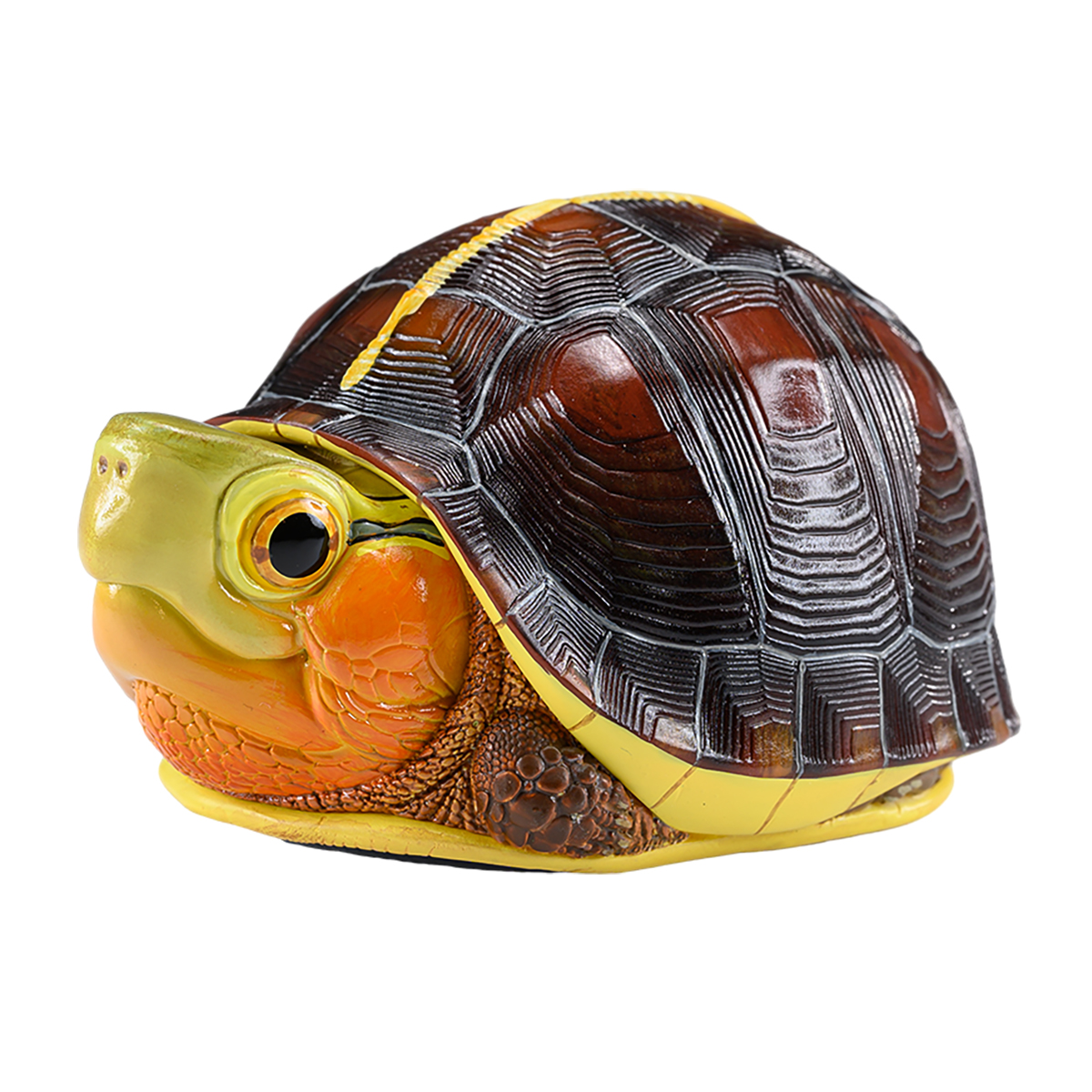 AHB-TURTLE-V19-01_08 AHB Series 19 - Yellow-margined Box Turtle (China) – Cuora flavomarginata | Turtle