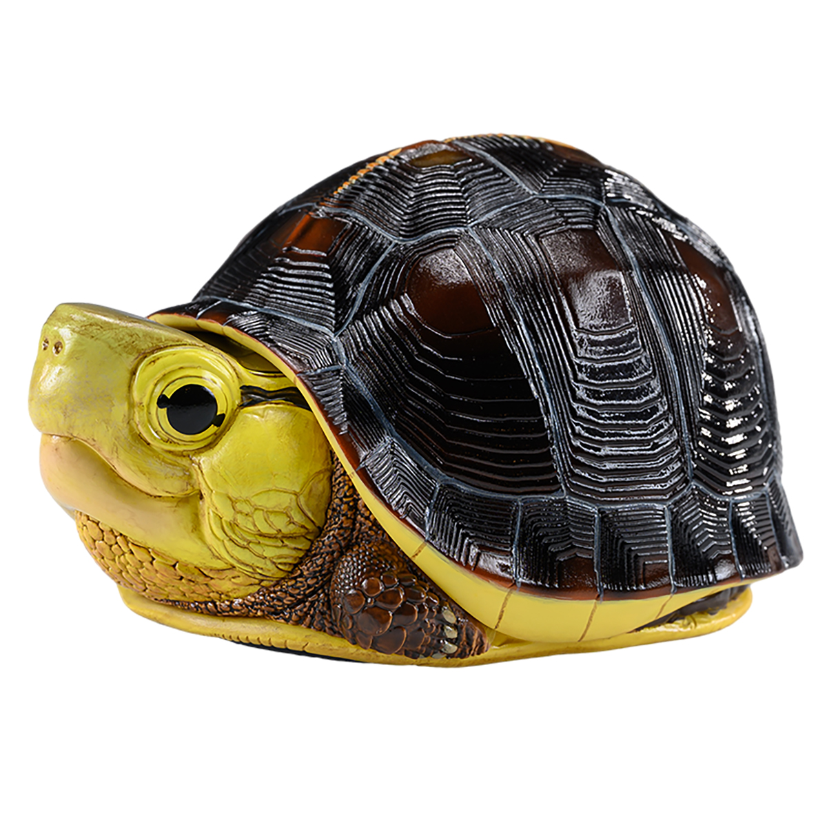 AHB-TURTLE-V19-02_07 AHB Series 19 - Yellow-margined Box Turtle (Taiwan) – Cuora flavomarginata | Turtle