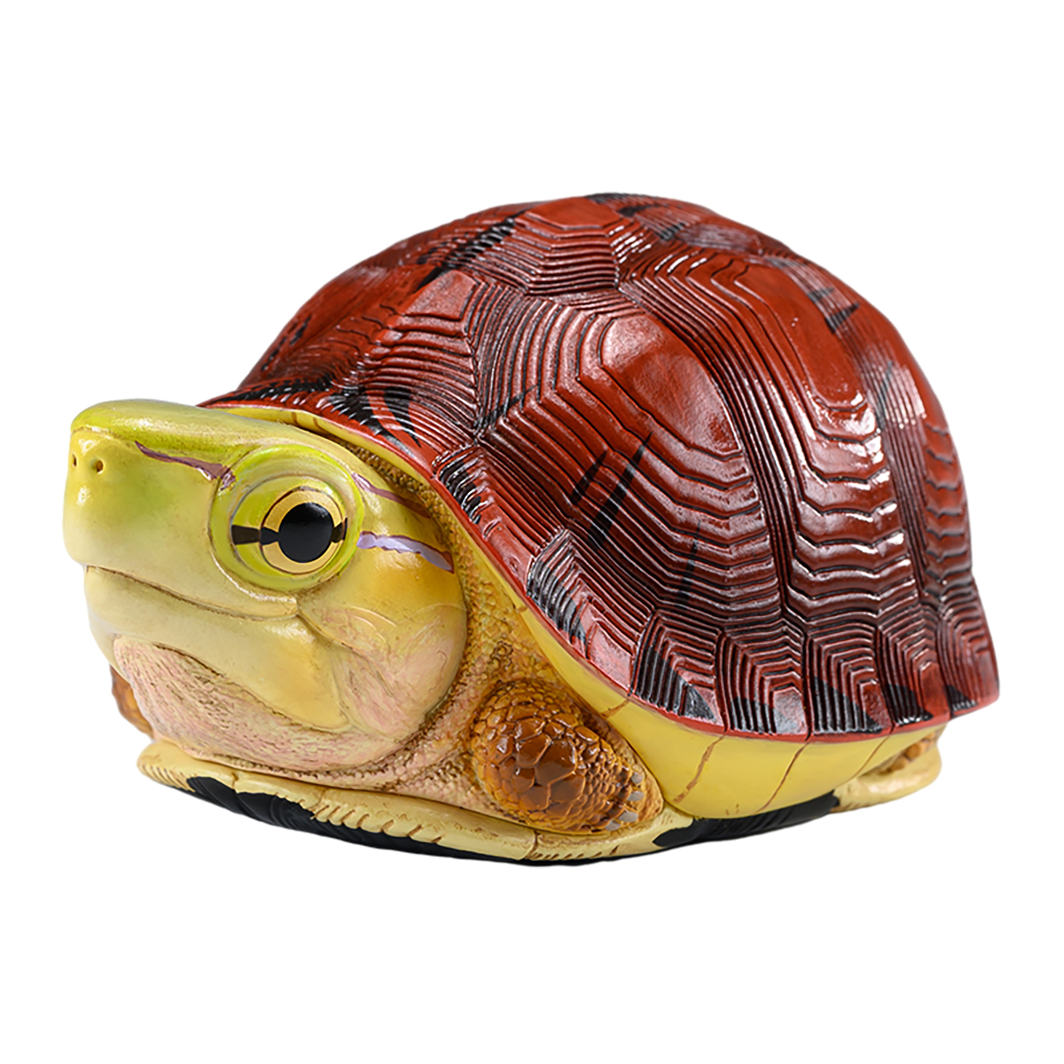 AHB-TURTLE-V19-03_06 AHB Series 19 - McCord’s Box Turtle – Cuora mccordi | Turtle