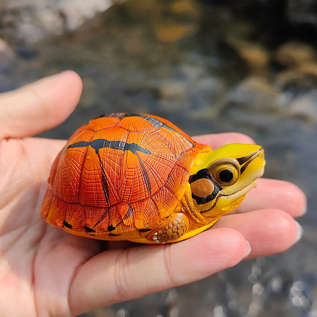AHB Series 19 - Golden Coin Turtle – Cuora trifasciata | Turtle