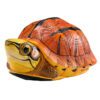 AHB Series 19 - Golden Coin Turtle – Cuora trifasciata | Turtle